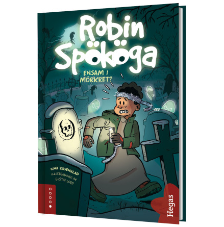 Robin Spkga - Ensam i mrkret?