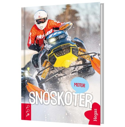 Motor - Snskoter