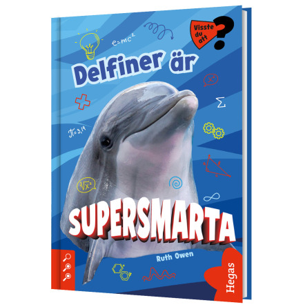 Visste du att? - Delfiner r supersmarta