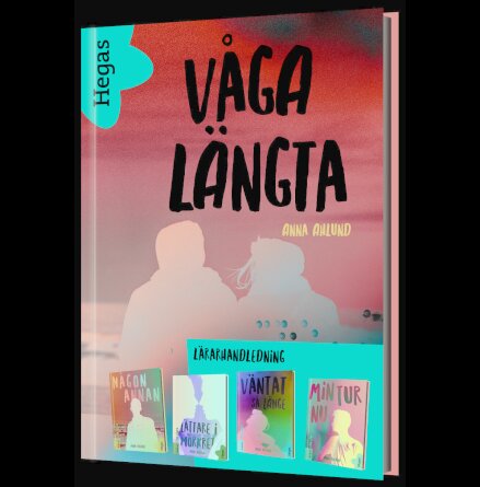 Vga lngta - lrarhandledningen