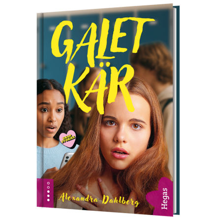 Snapstories - Galet kr