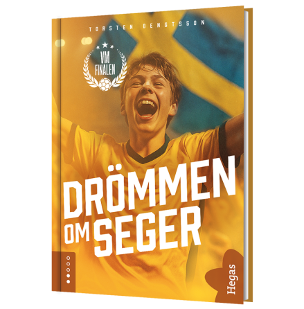 VM-finalen 3 - Drömmen om seger