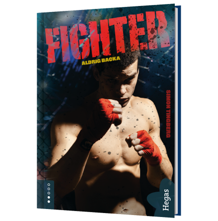 Fighter 3 - Aldrig backa