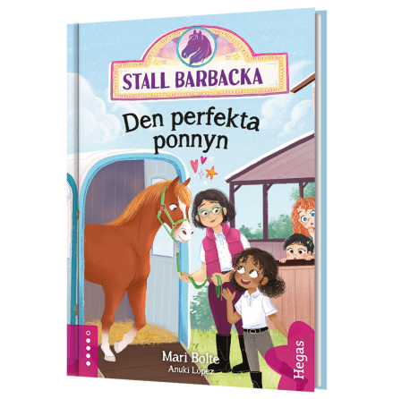 Stall Barbacka 3 - Den perfekta ponnyn