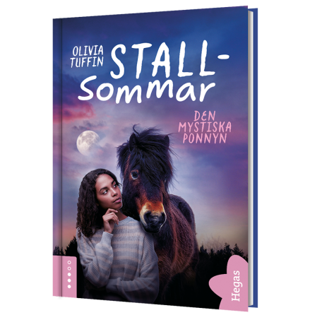 Stallsommar - Den mystiska ponnyn