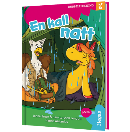 L�str�det � Grodden: Dubbelteckning - En kall natt