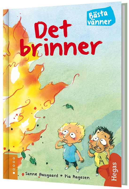Bok: Det brinner Hegas lättlästa böcker 10+ bästa bilderna på Pamphlets | illustration, bokserie